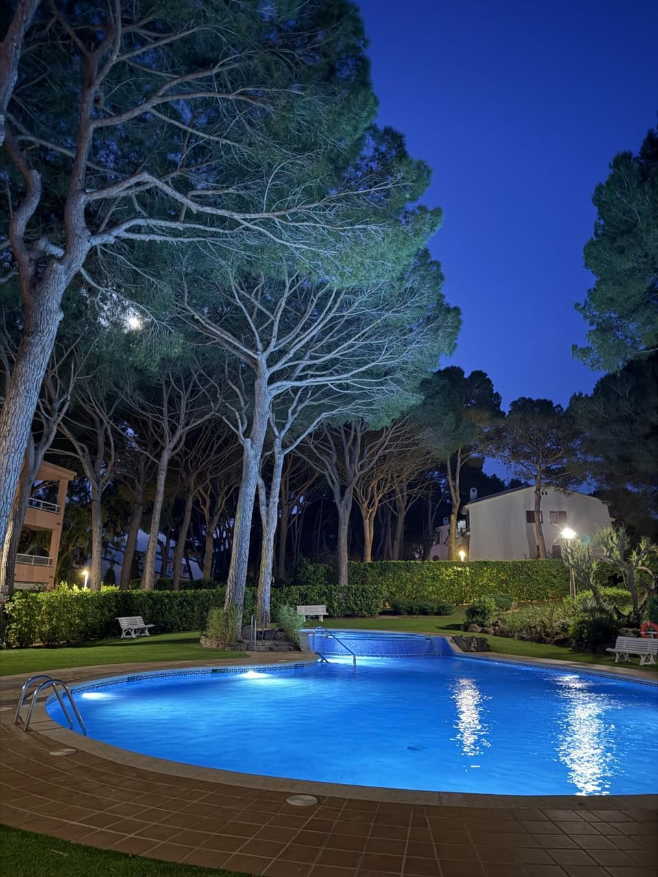 Night, Natural landscape, Garden, Pool view, Swimming pool