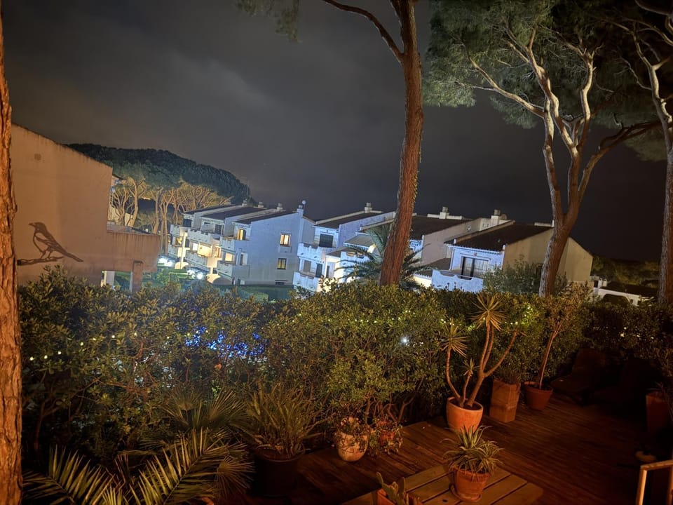 Night, Garden, Garden view, Swimming pool