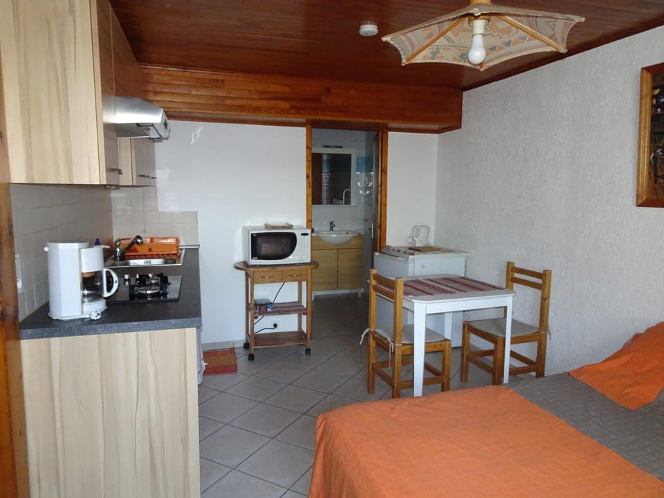 Charmant studio à Landry Apartment in Landry