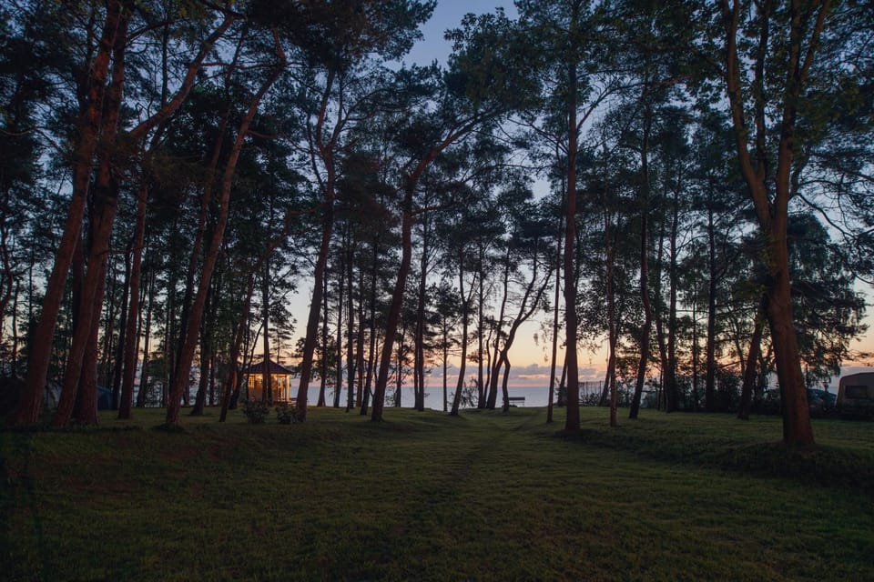 Spring, Natural landscape, Garden, Sea view, Sunrise, Sunset