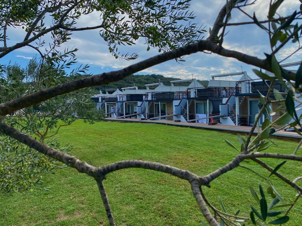 Property building, Natural landscape, Garden