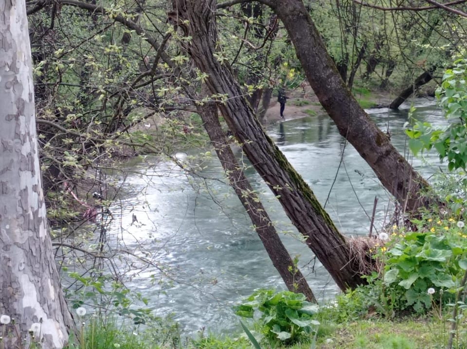 Smestaj Vanja House in Zlatibor District, Serbia