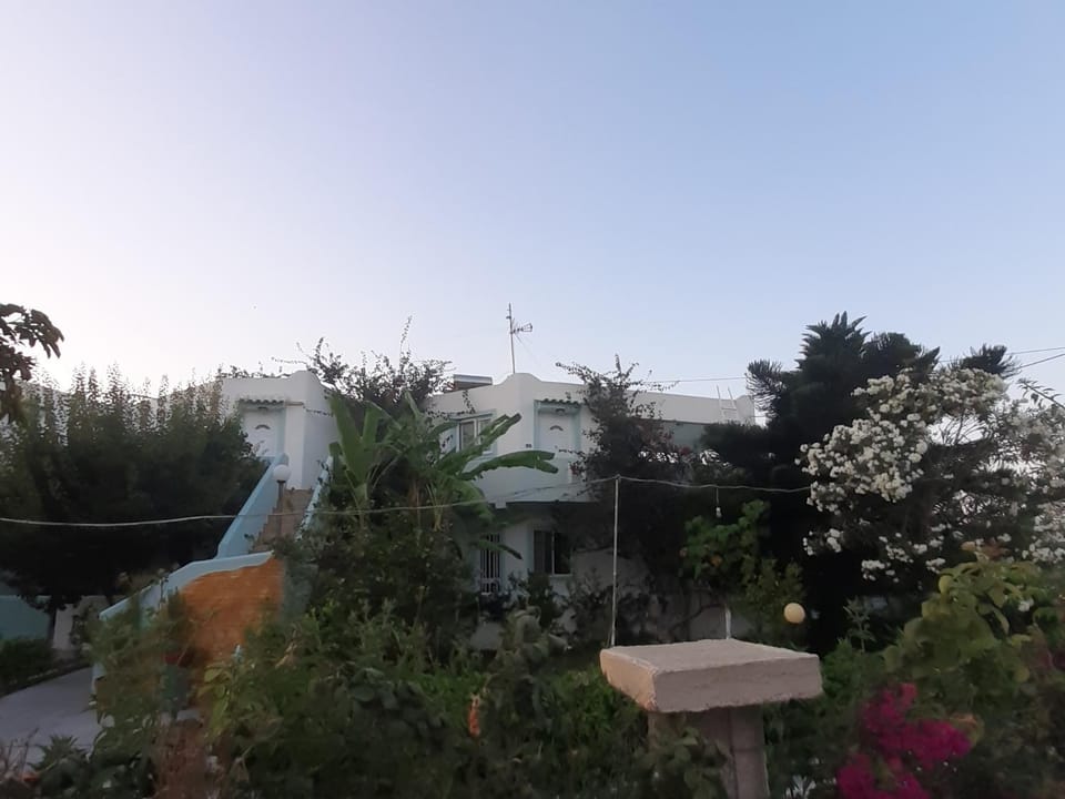 Property building, Spring, Garden