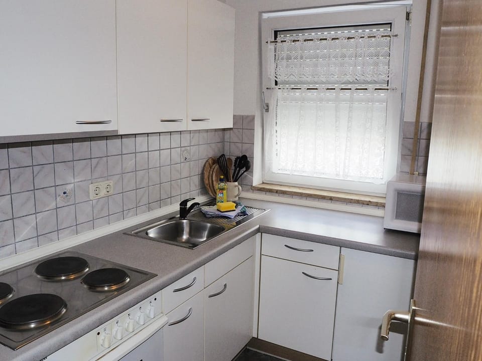Kitchen or kitchenette, minibar, pet friendly, stove