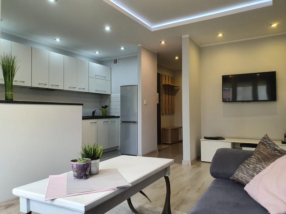 W CENTRUM Apartment in Lithuania