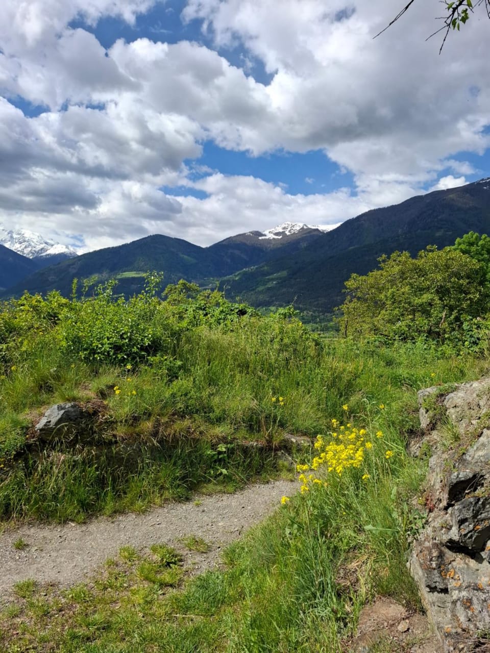 Haus18. 4 Apartment in Trentino-South Tyrol