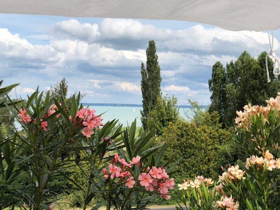 Patio, Natural landscape, Balcony/Terrace, Beach, Lake view