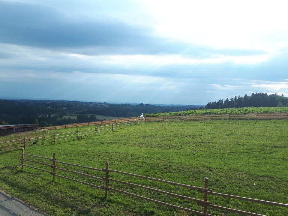 Natural landscape, Seating area, Mountain view