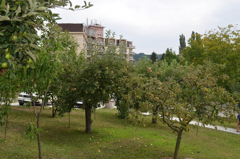 Apartmani Ana Apartment in Vojvodina