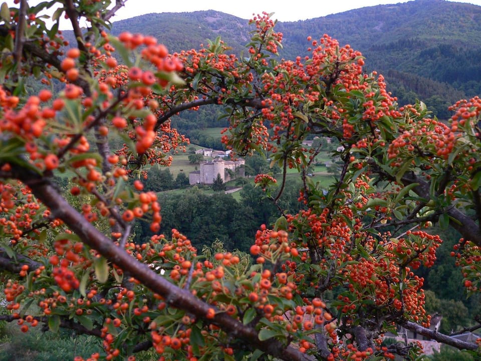 Landmark view