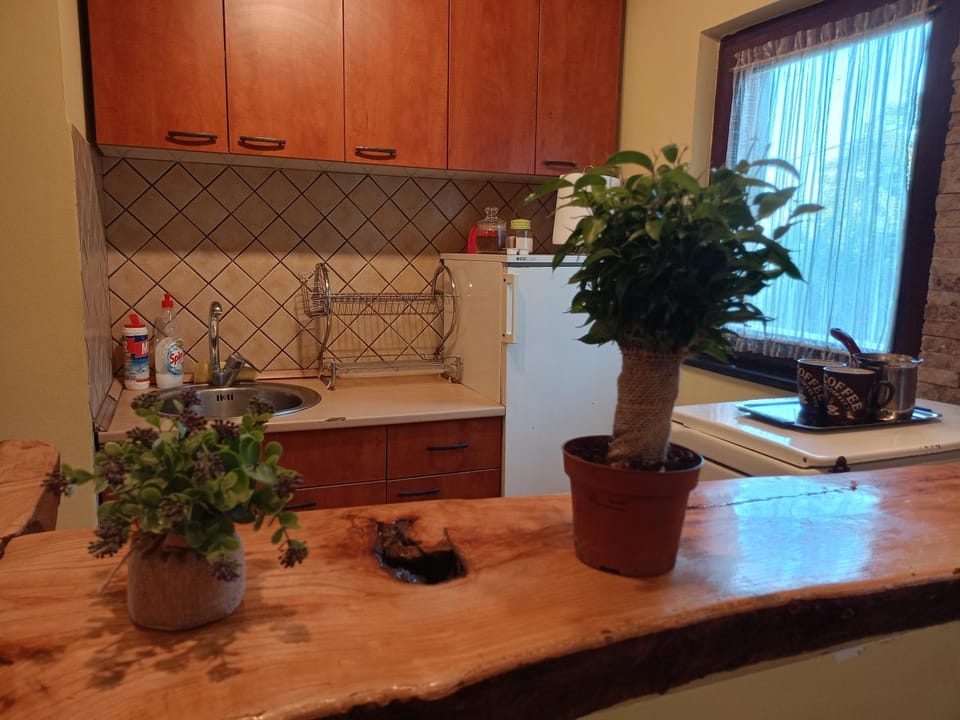 Dedinje House in Serbia