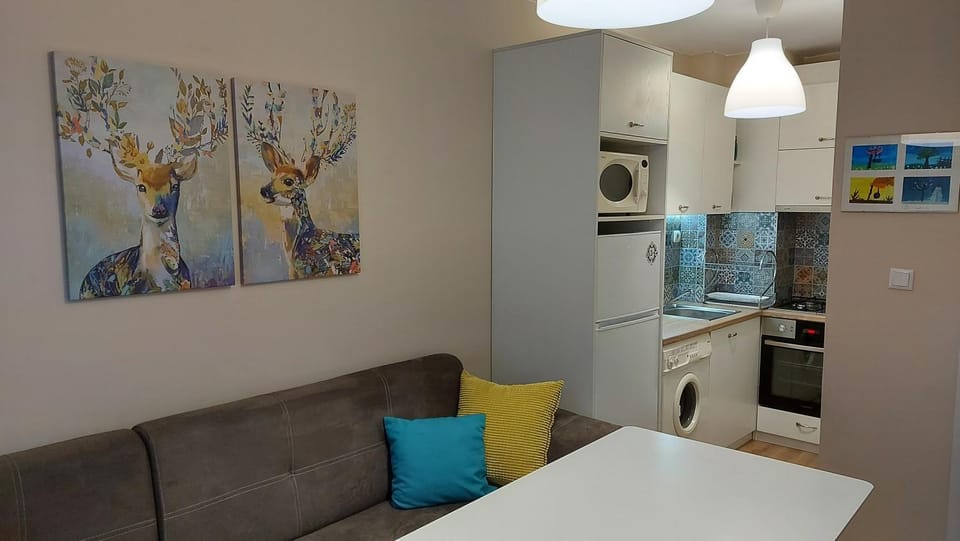 Communal lounge/ TV room, Kitchen or kitchenette, Living room