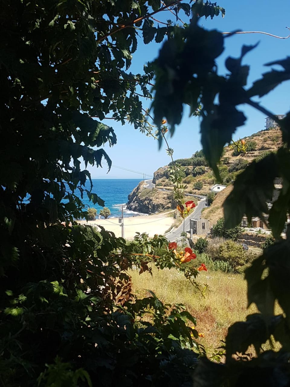 Iliana's courtyard House in Icaria