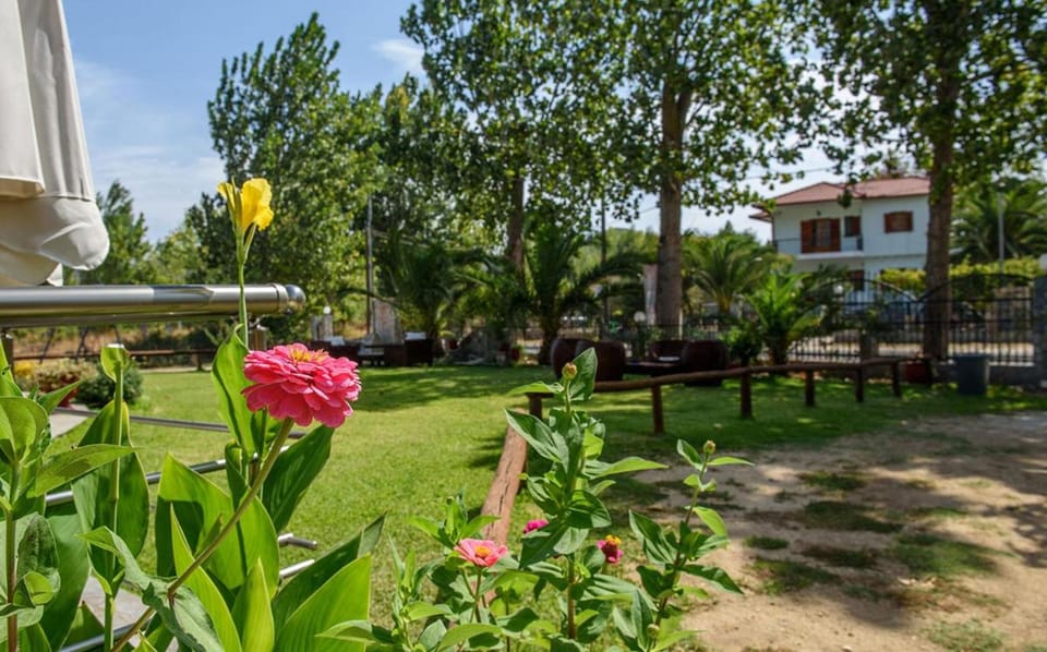 Property building, Patio, Garden