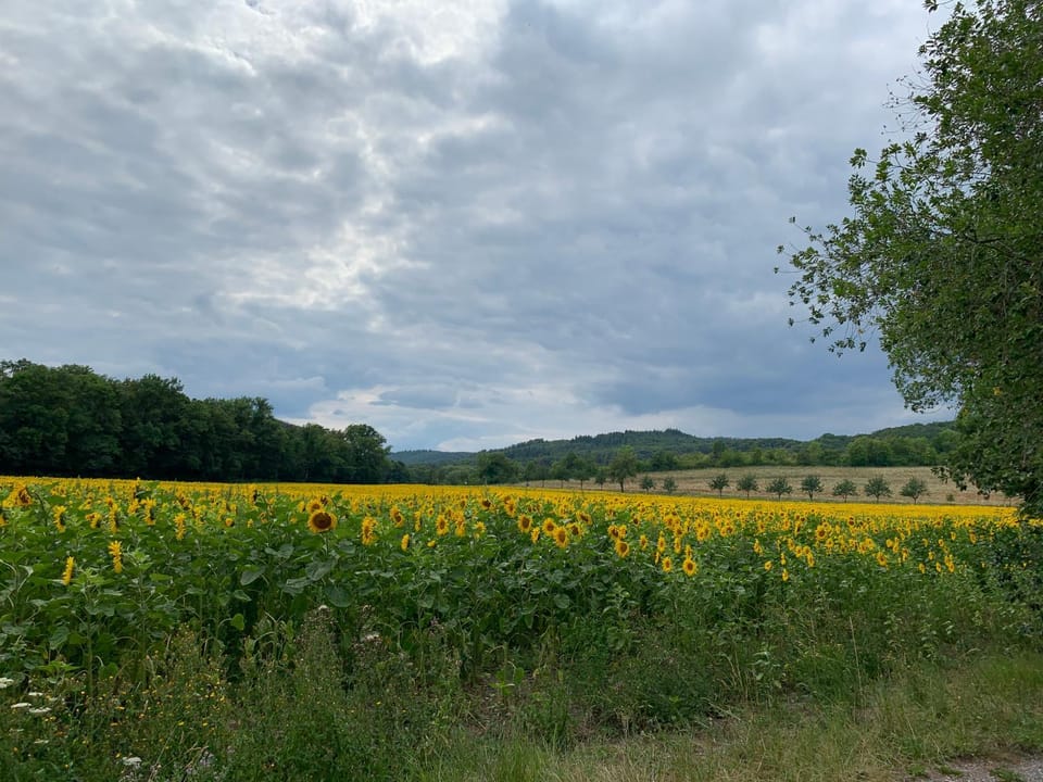 Natural landscape