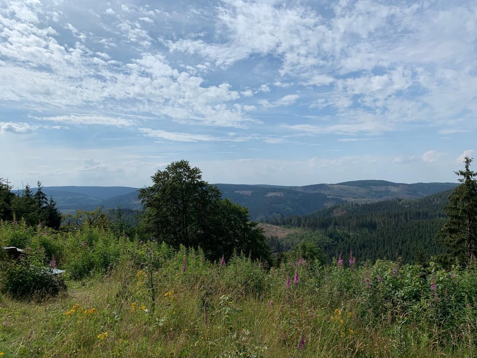 Natural landscape