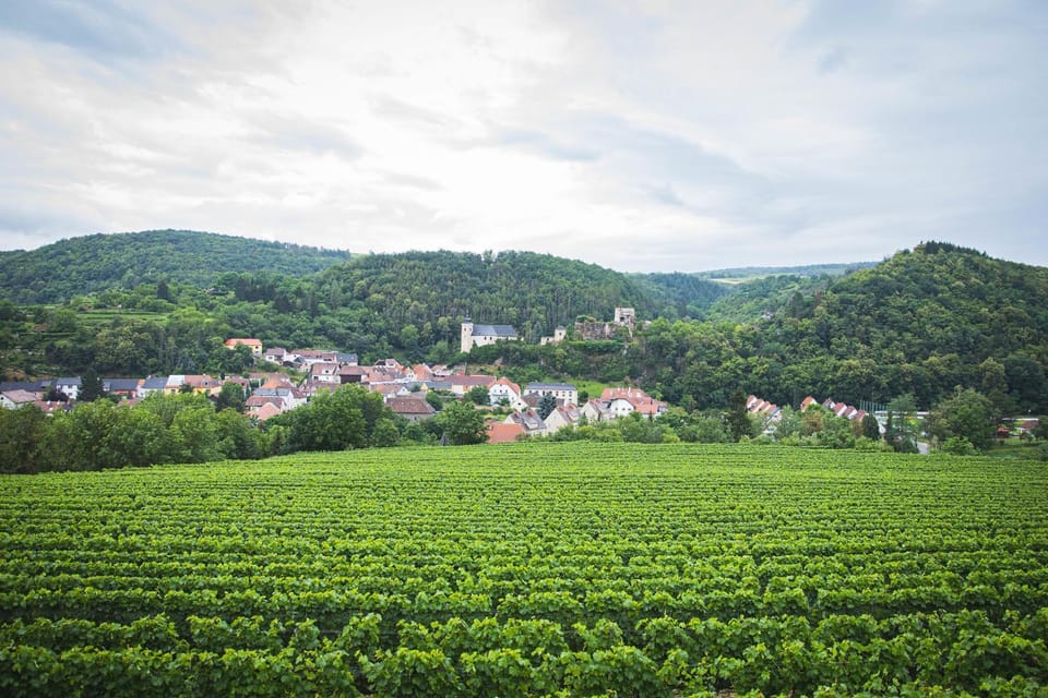 Neighbourhood, Natural landscape