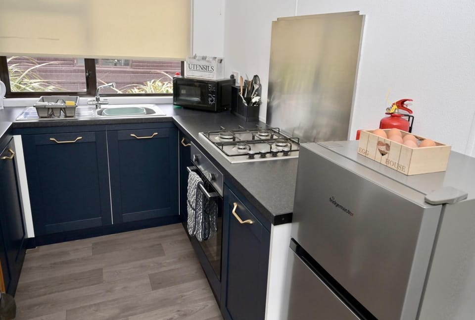 Kitchen or kitchenette, oven, pet friendly, stove