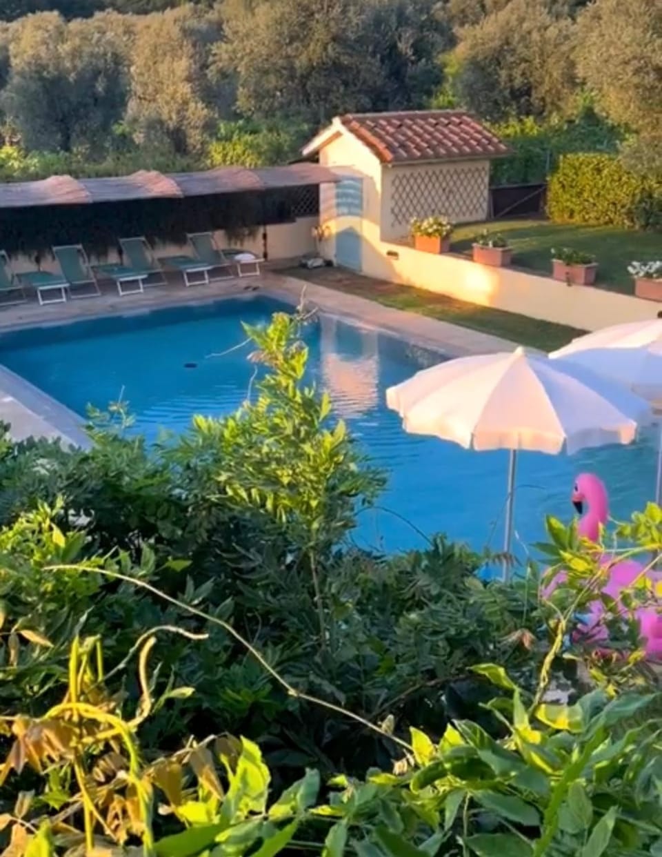 Villa Borgeri Farm Stay in Tuscany