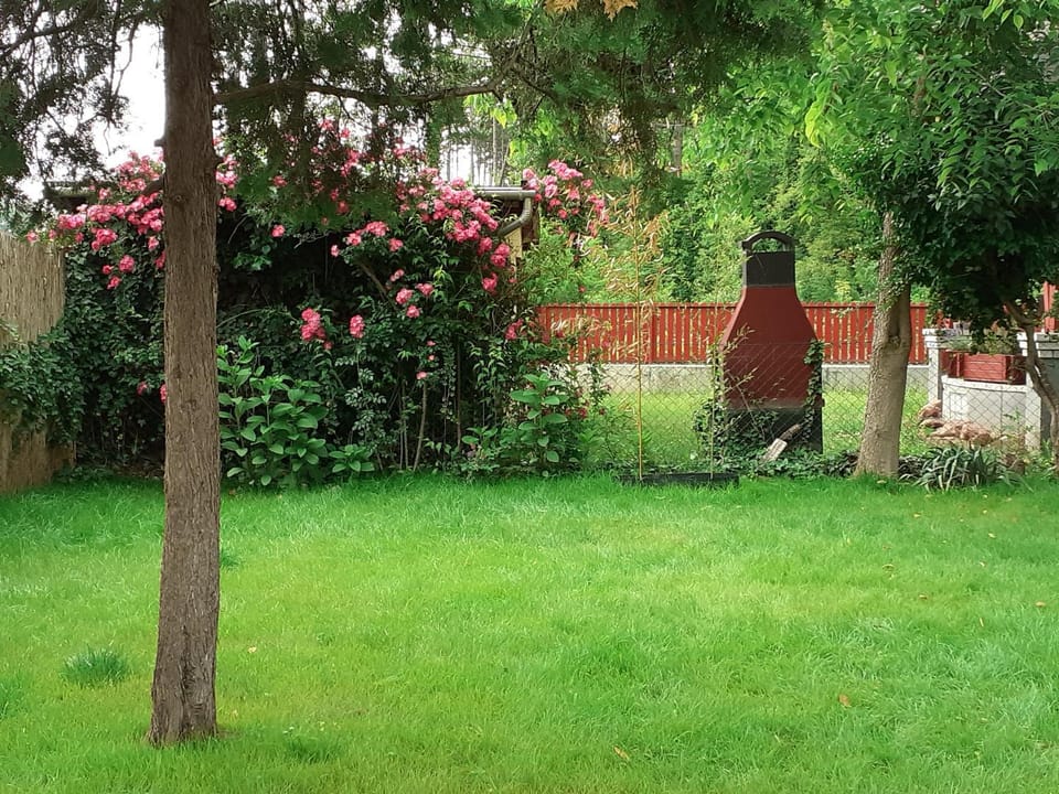 Nature apartman Apartment in Hungary