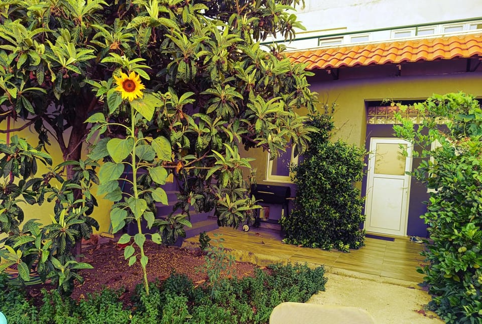 Leonica Apartment in Split-Dalmatia County