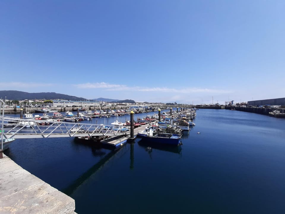 Neighbourhood, Natural landscape