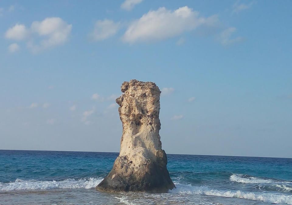 Natural landscape