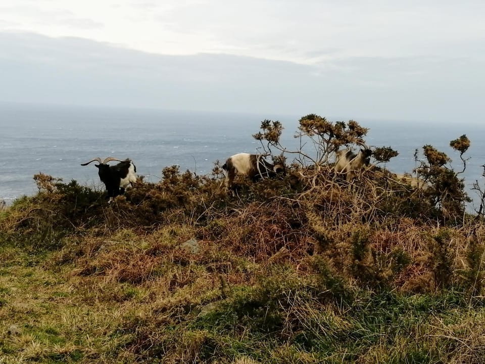 O SOLPOR House in Galicia