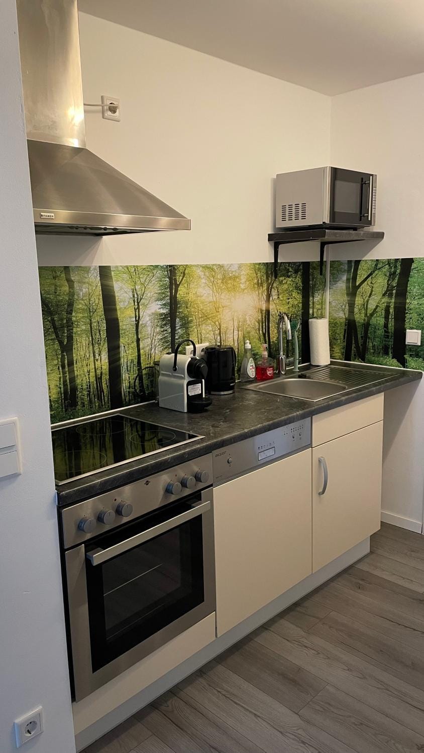 Kitchen or kitchenette, kitchen