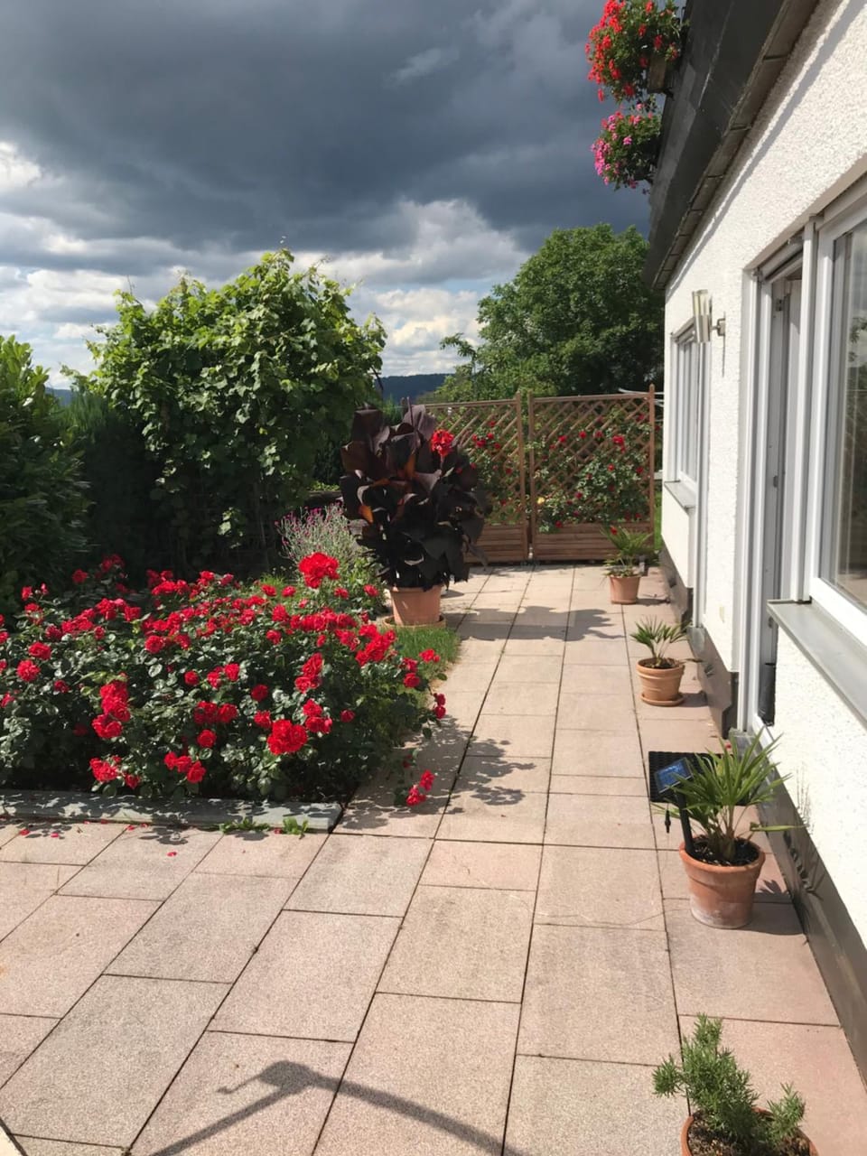 Patio, Balcony/Terrace