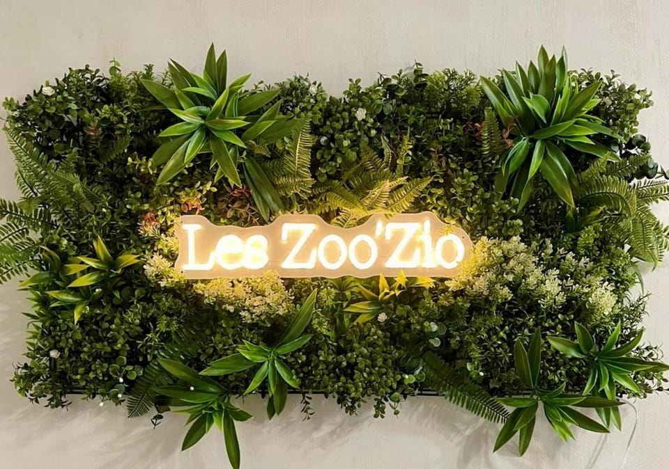 Gite Le Nid des Zoo Zio, 5mn Beauval, appartement terrasse centre-ville Apartment in Centre-Val de Loire