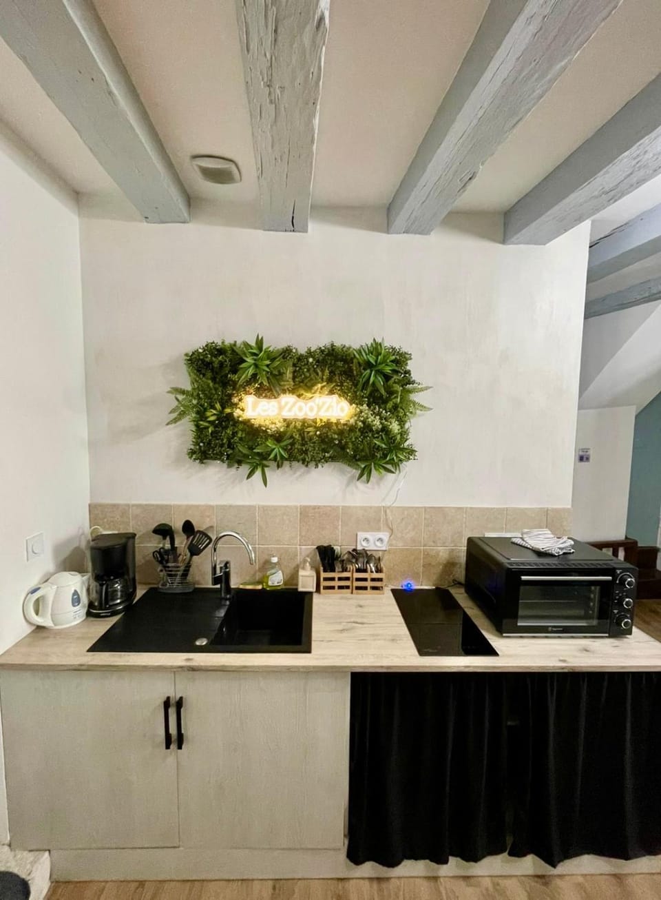 Gite Le Nid des Zoo Zio, 5mn Beauval, appartement terrasse centre-ville Apartment in Centre-Val de Loire