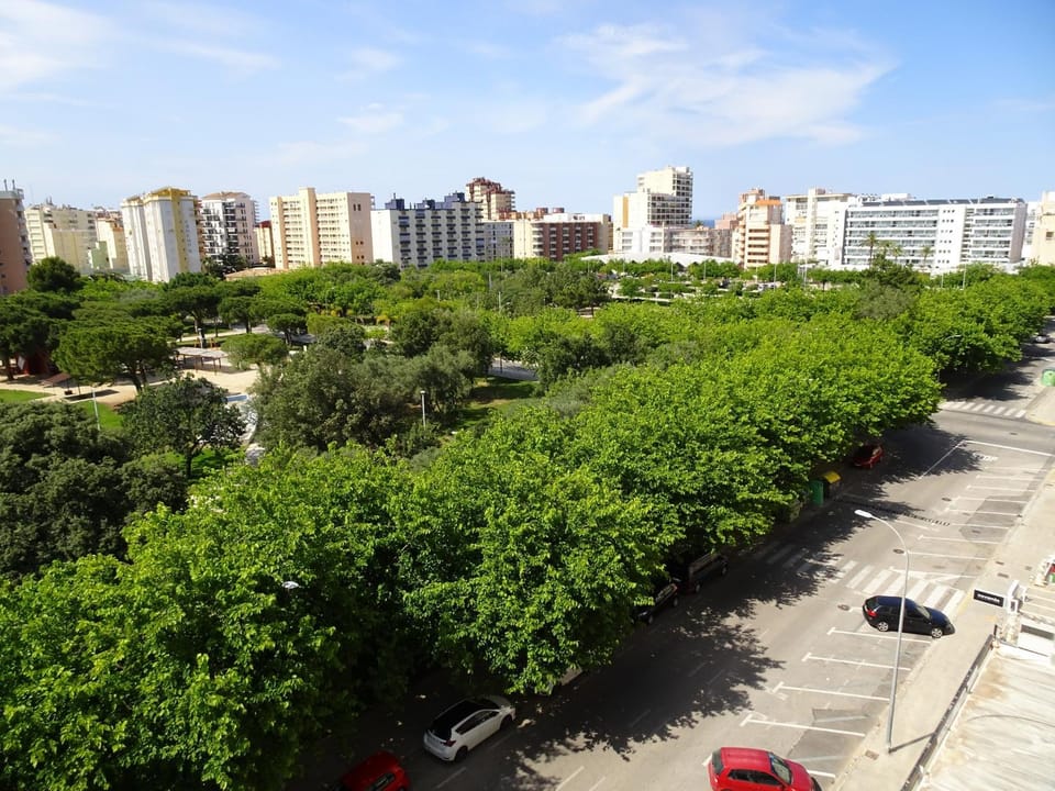 Neighbourhood, City view, Street view