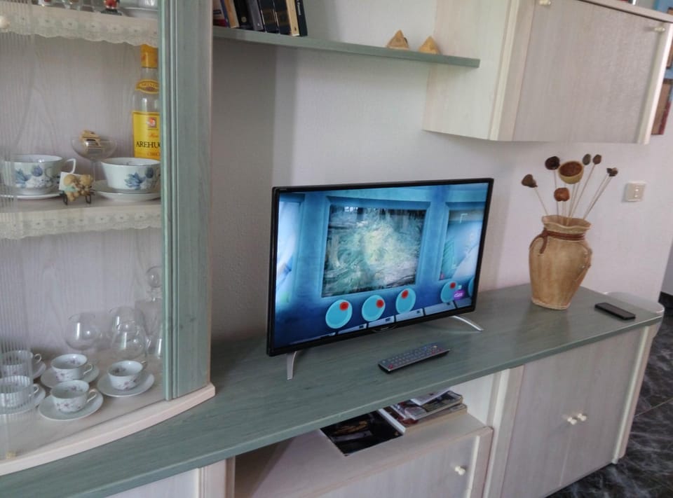 TV and multimedia