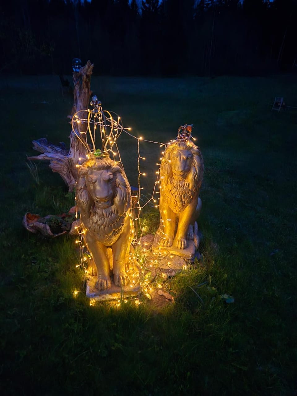 Gold Sun Zelta Saule House in Latvia