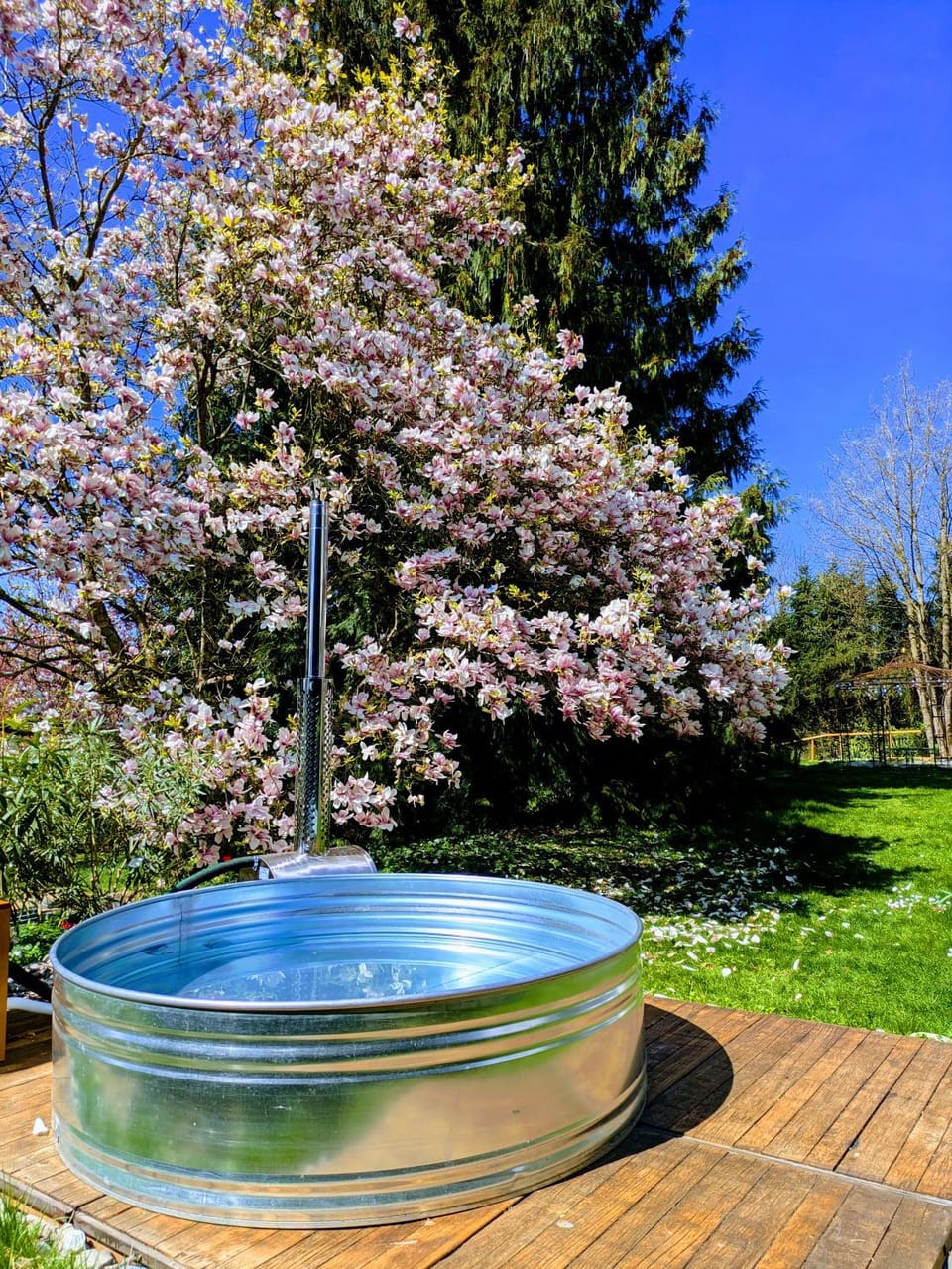 Garden, Swimming pool
