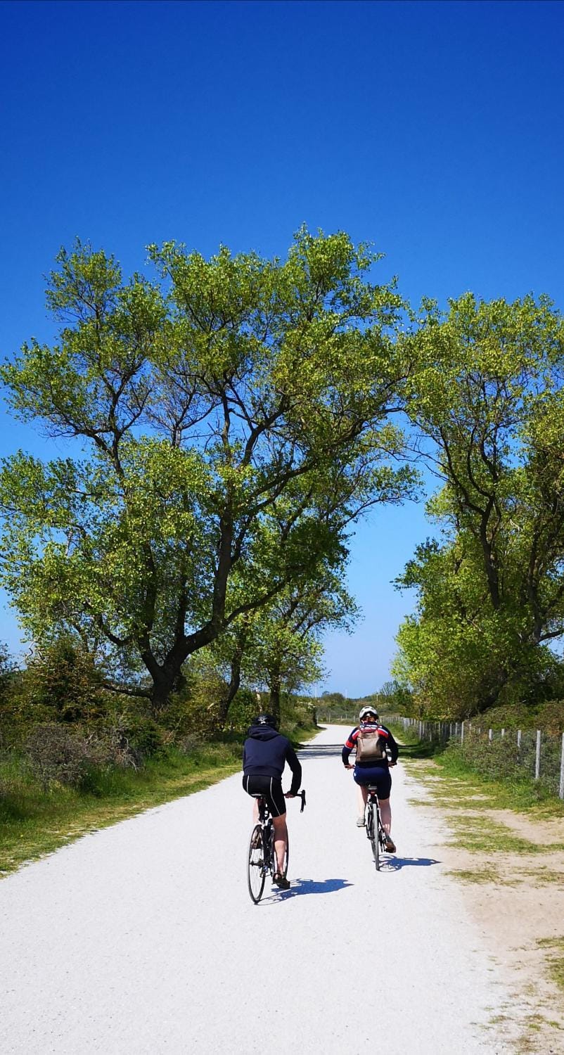 Zeester en koffie. Apartment in Koksijde