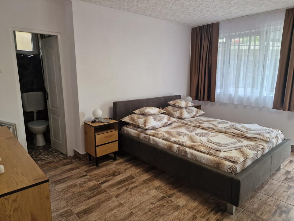 Pensiunea Beatrice Bed and Breakfast in Romania