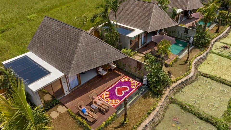 Property building, Garden view, Swimming pool