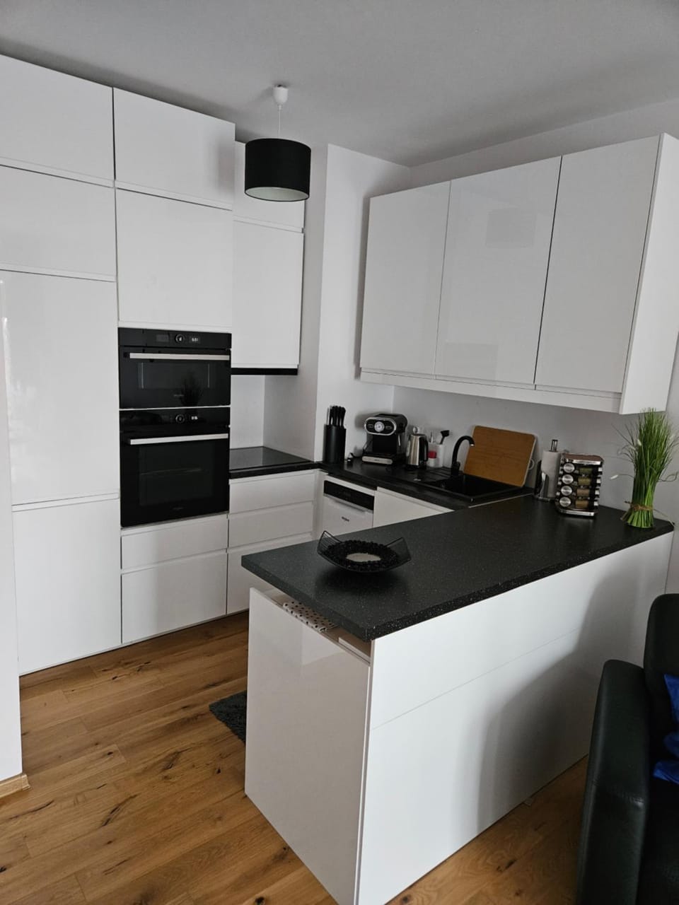 Kitchen or kitchenette, dishwasher, oven, stove