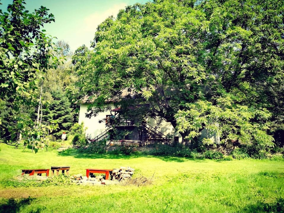 Garden, Garden, Garden view
