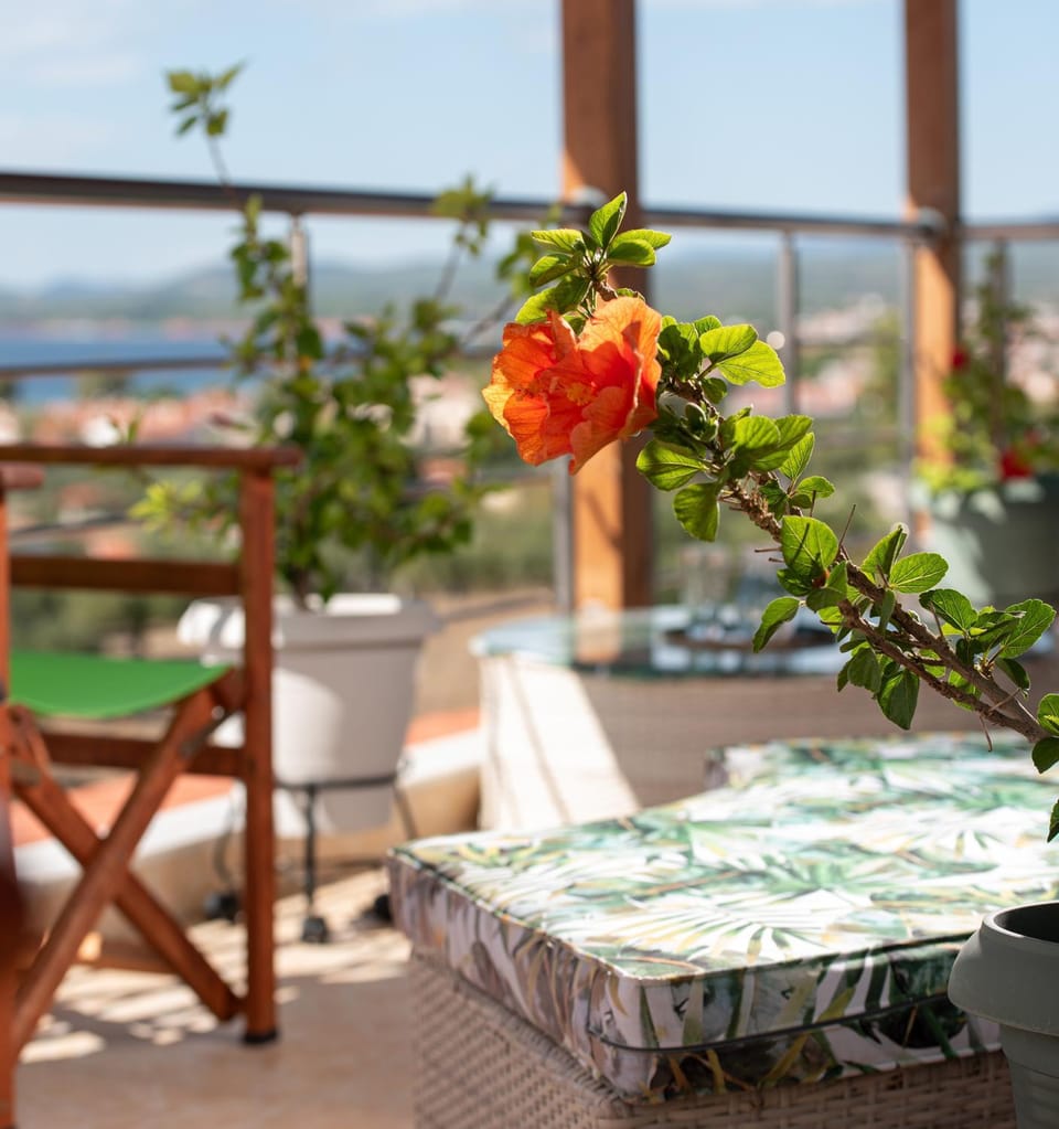 Balcony/Terrace, Balcony/Terrace