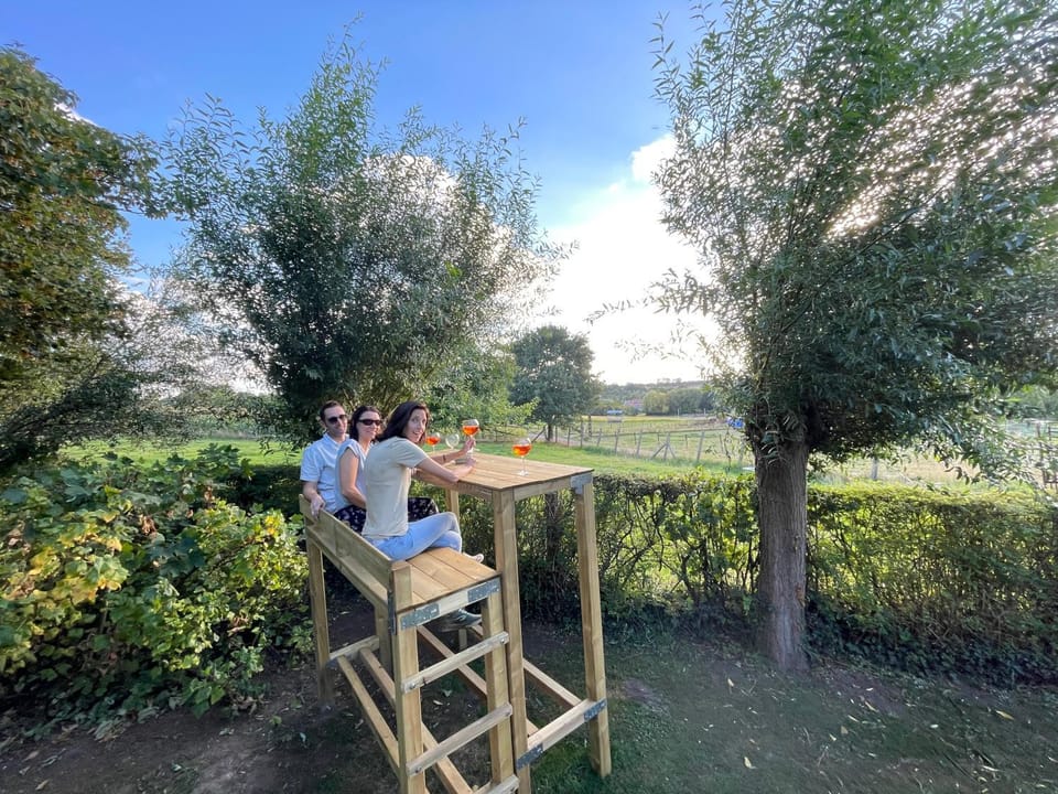 Natural landscape, Guests, Garden view