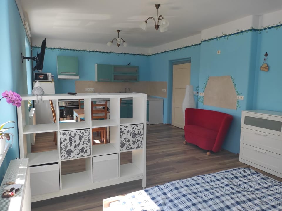 Library, Living room, Photo of the whole room, Breakfast, Dinner, internet, pet friendly, washing machine, kitchen