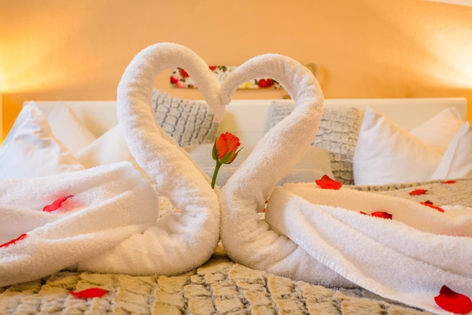 Other, Photo of the whole room