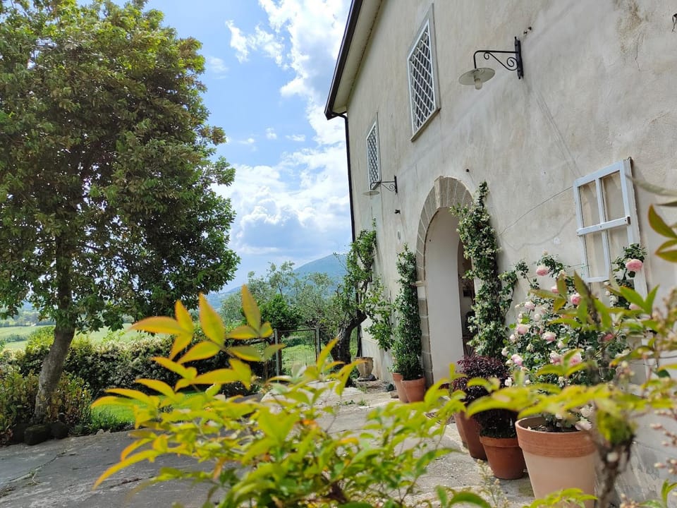 Property building, Facade/entrance, Day, Garden, Seasons