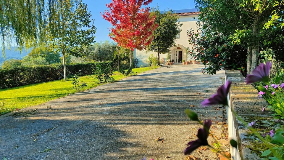 Day, Natural landscape, Garden, Autumn, On site, Garden view
