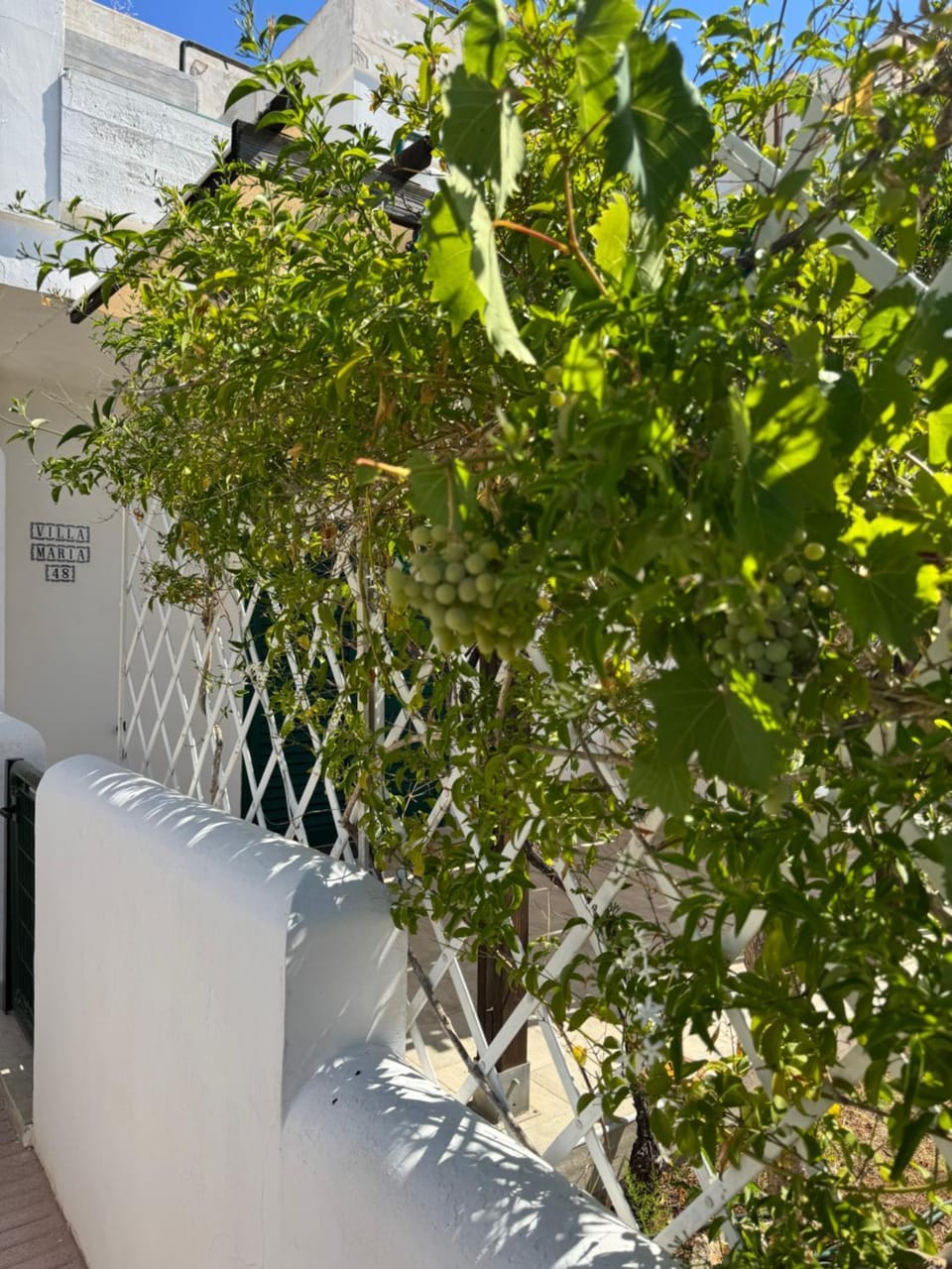 Villa Maria Villa in Santa Cesarea Terme