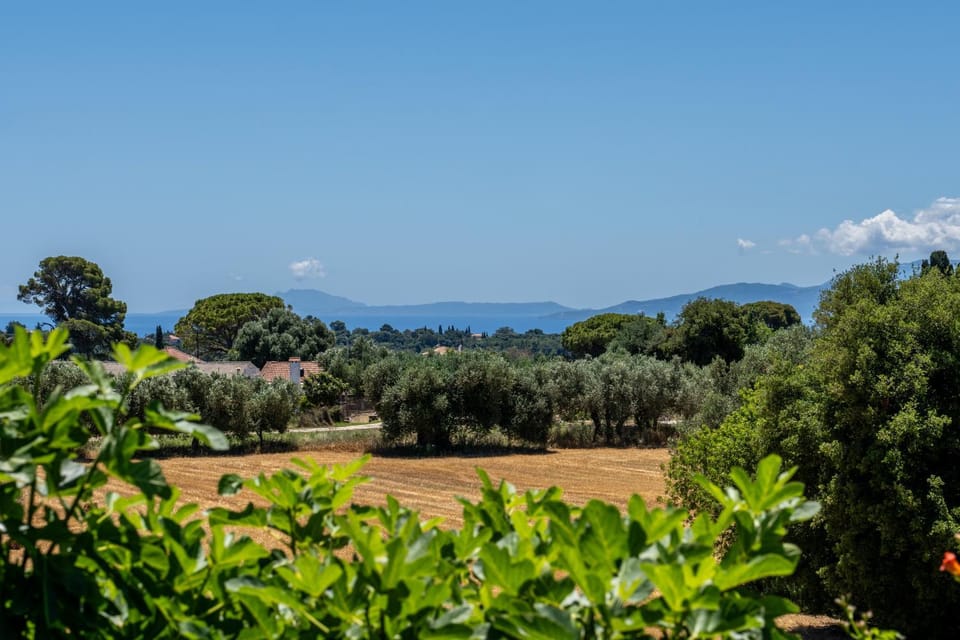 Villa Primarosa Villa in Cephalonia