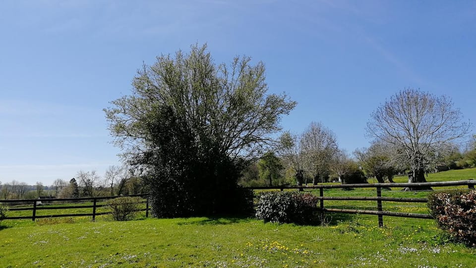 Le cottage du Coudray, gîte avec chalet sauna House in Normandy